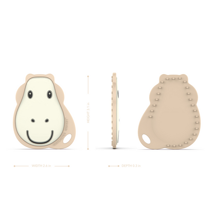 Giraffe Flat Face Teether &amp; Soother Clip Set