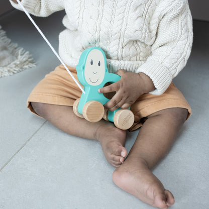 Monkey Wooden Pull Toy